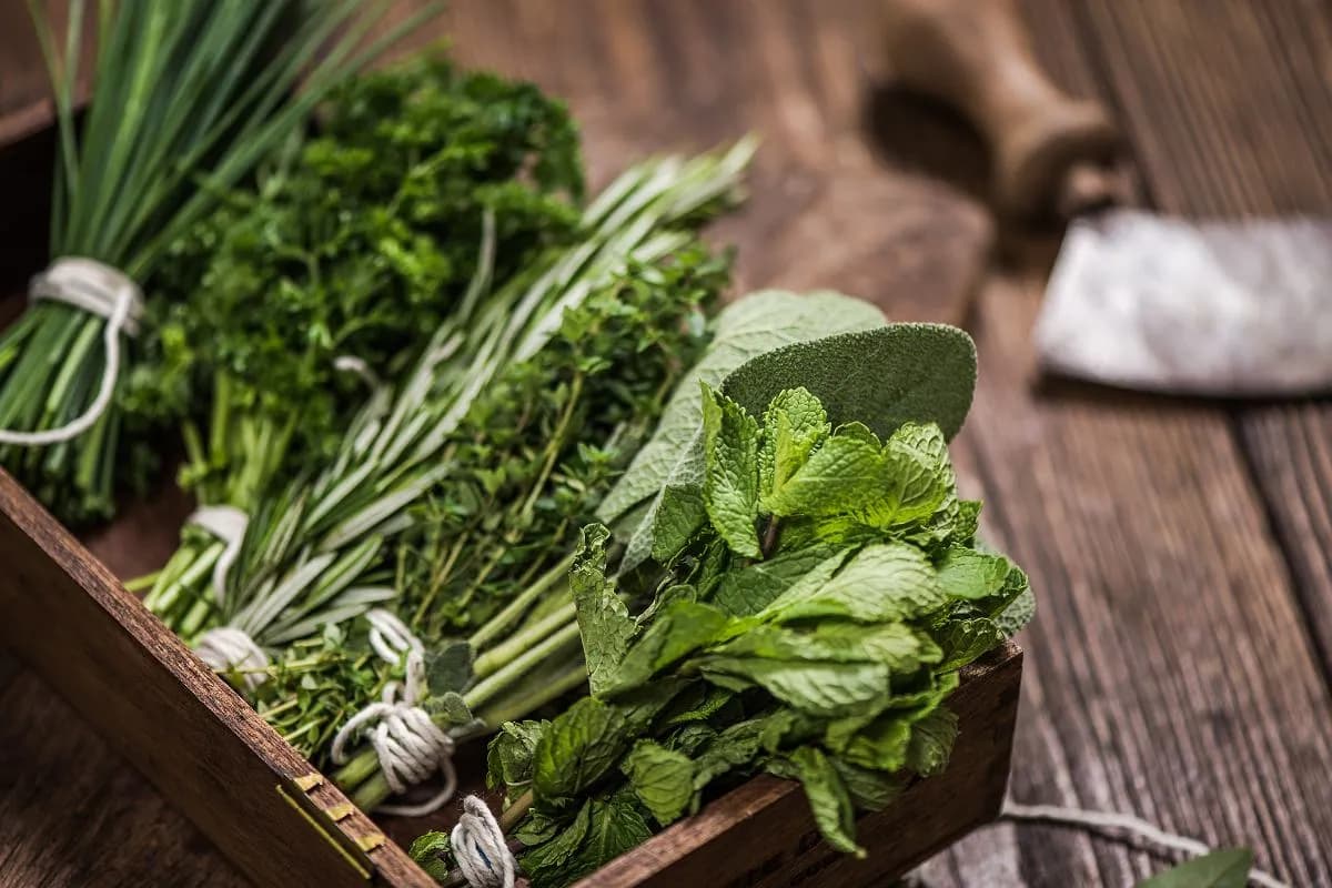 Jakie zioła pić na ładną cerę? Odkryj ich niesamowite właściwości