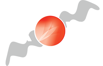 https://grovis-beauty.pl/wp-content/uploads/2019/06/logo-wh.png